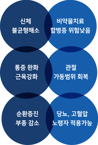 신체 불균형해소 / 두통 및 염증감소 / 통증 완화 근육강화 / 관절 가동범위 회복 / 순환증진 부종 감소 / 전신 불균형 조정